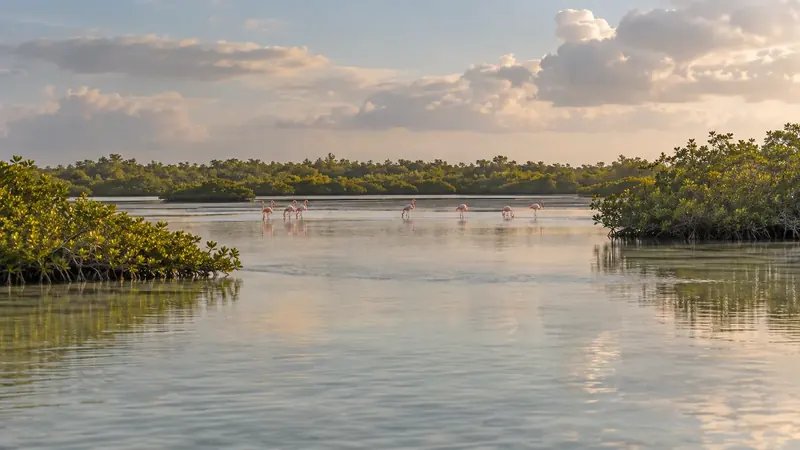 Distant flamingos in an imagined coastal wetland. AI-generated illustration.